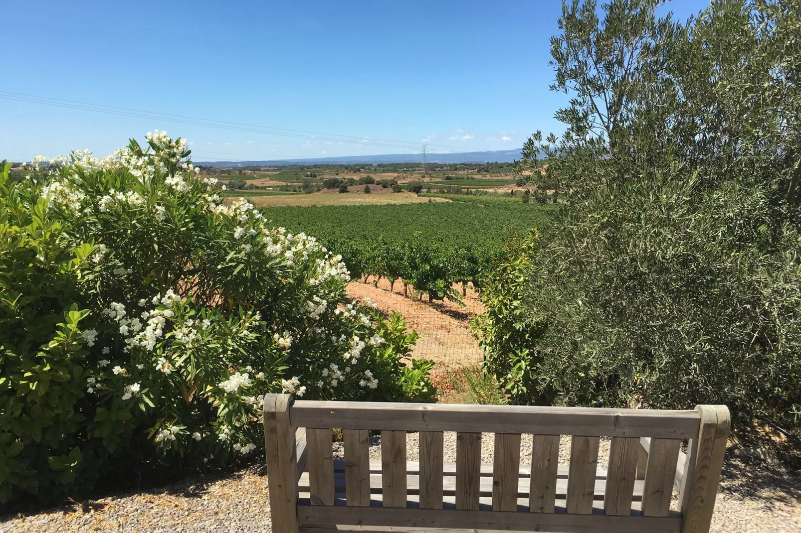 Villa Le Carignan-View summer