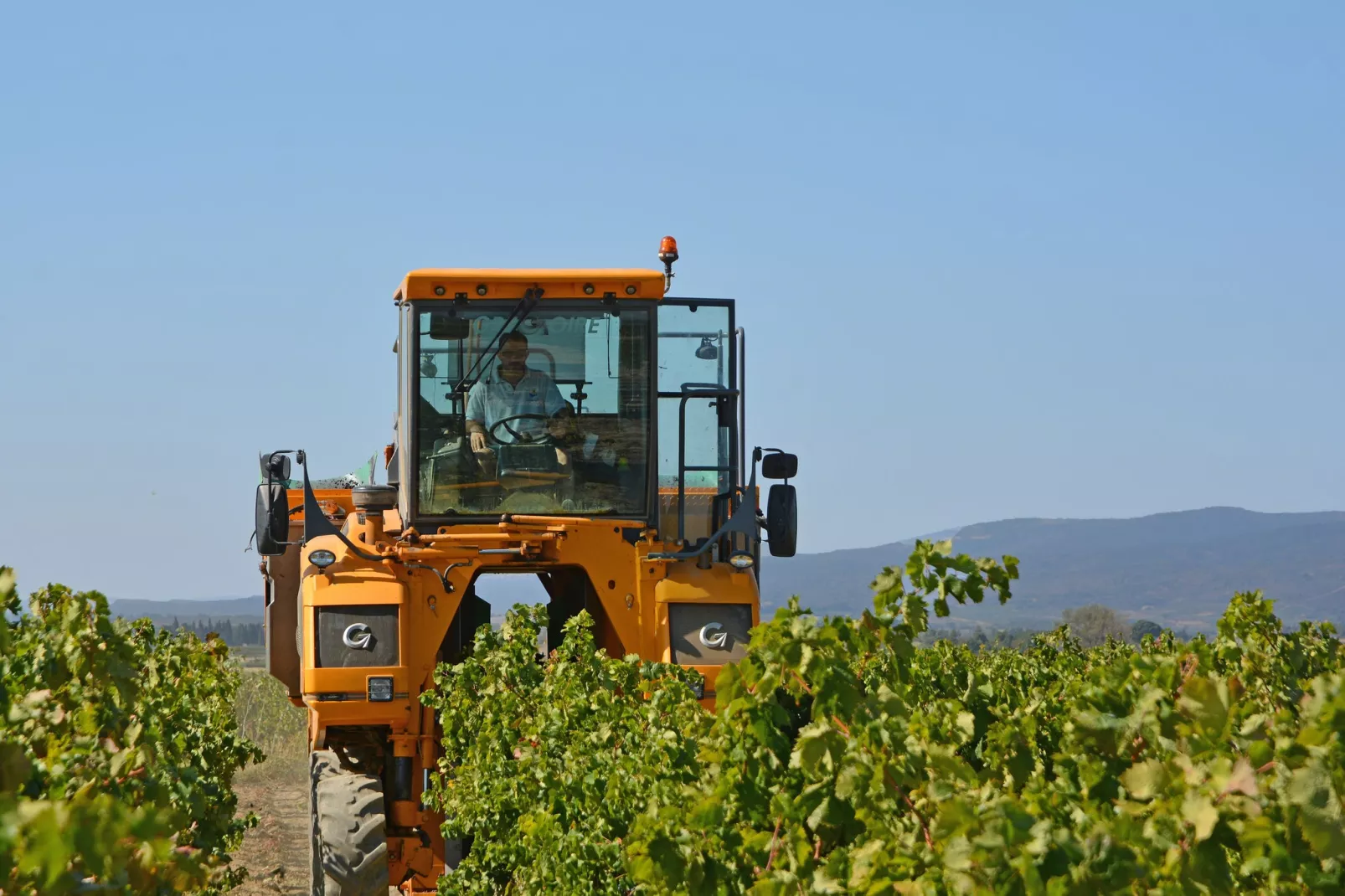 Villa Le Carignan-Atmosphere