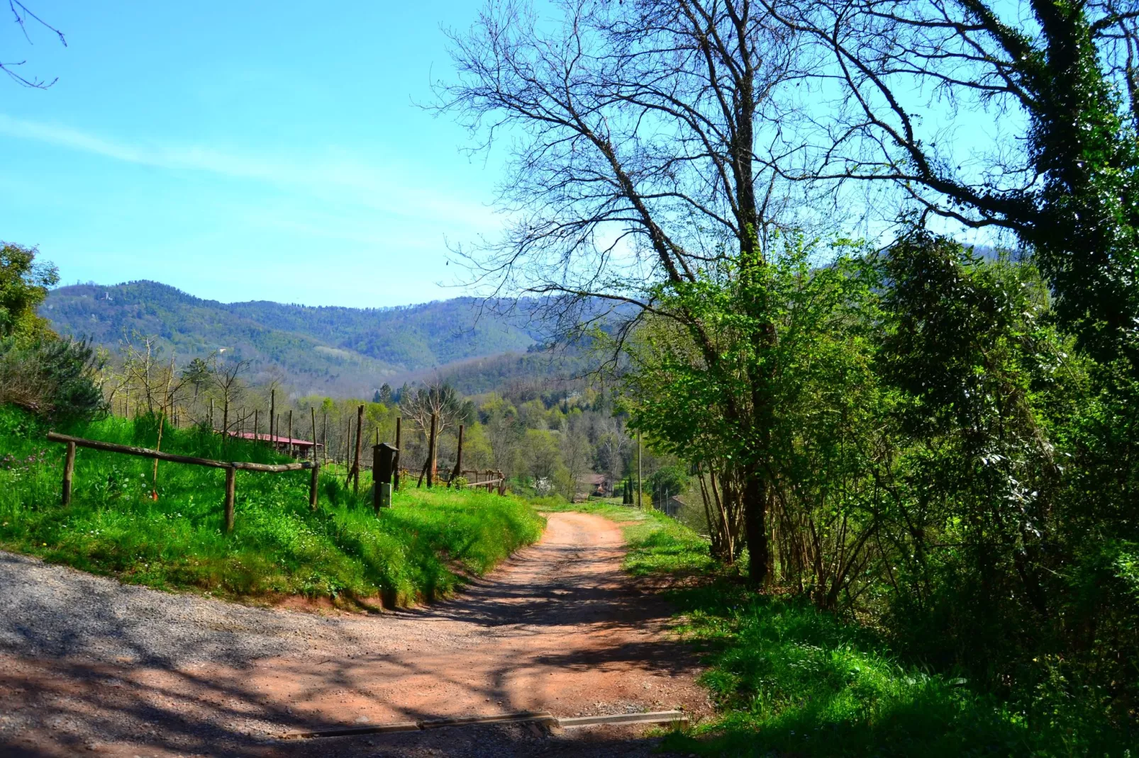 Paola-Gebiete Sommer 1 km
