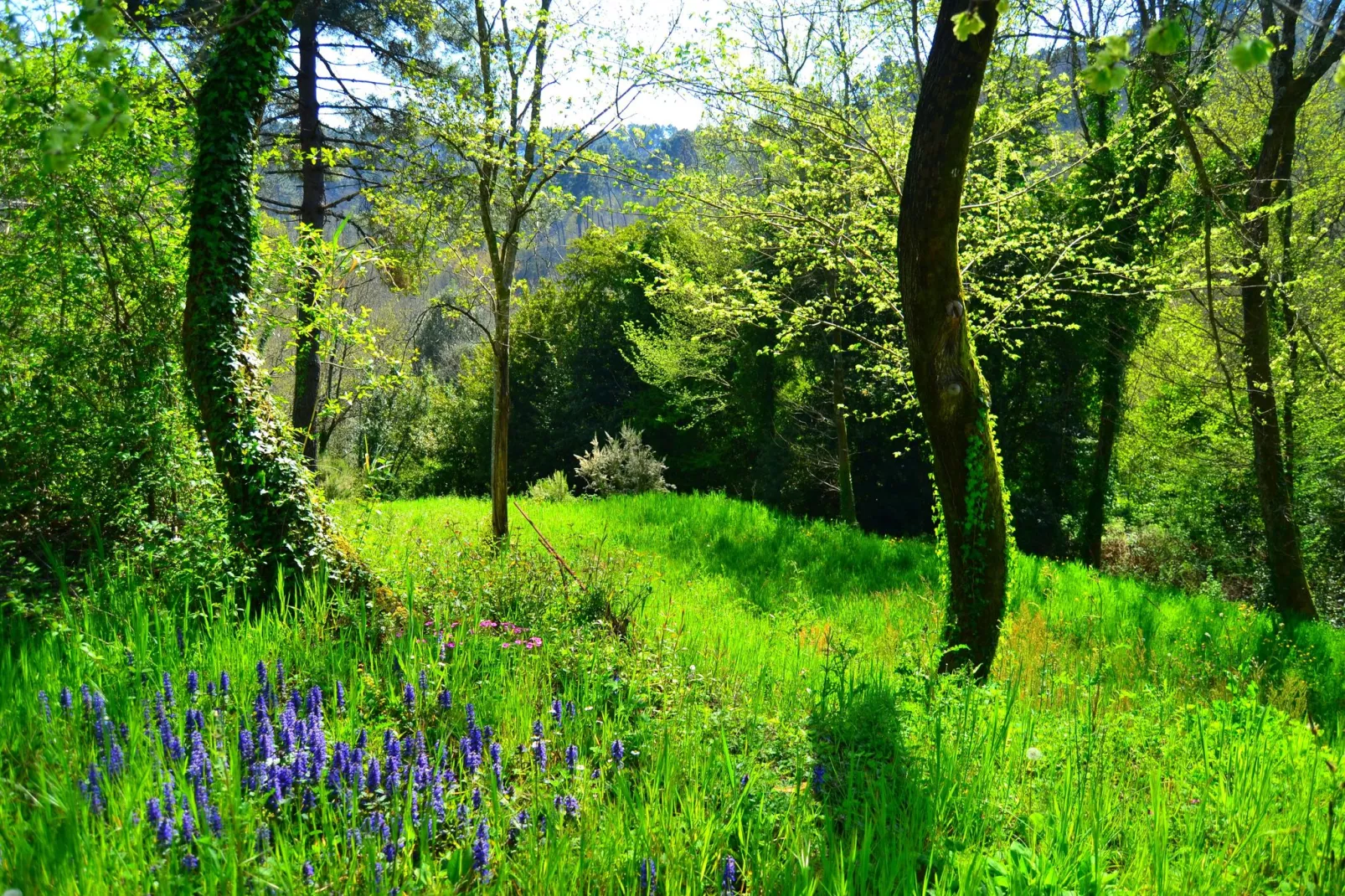 Paola-Gebiete Sommer 1 km