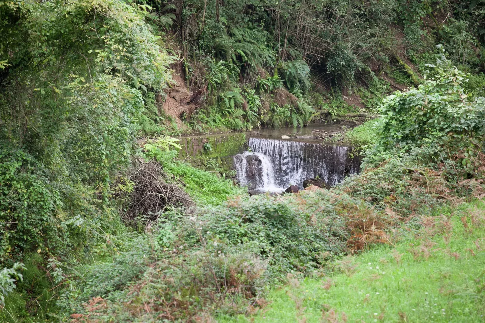 Paola-Gebiete Sommer 1 km