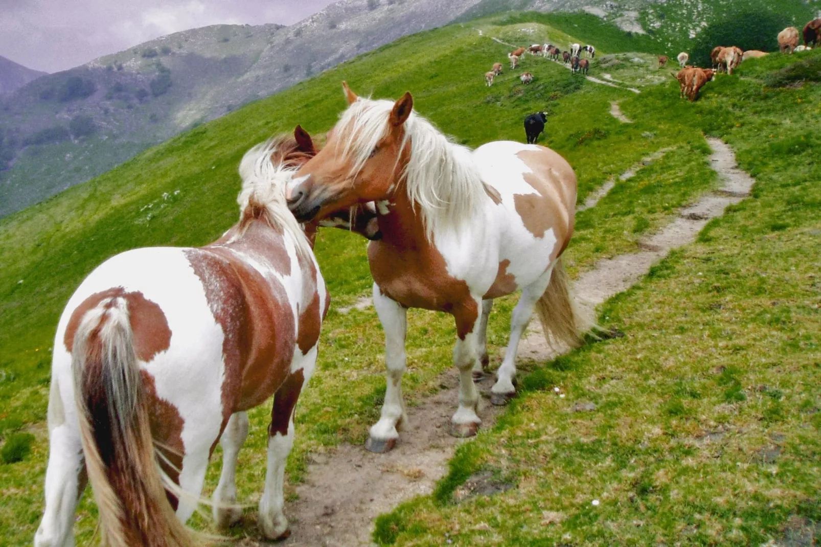 Casa Bel-Gebiete Sommer 5 km