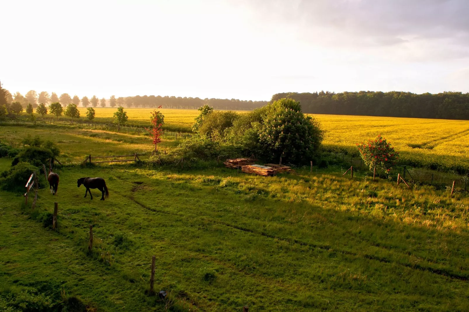 Romantisches Landhaus mit Kamin-View summer