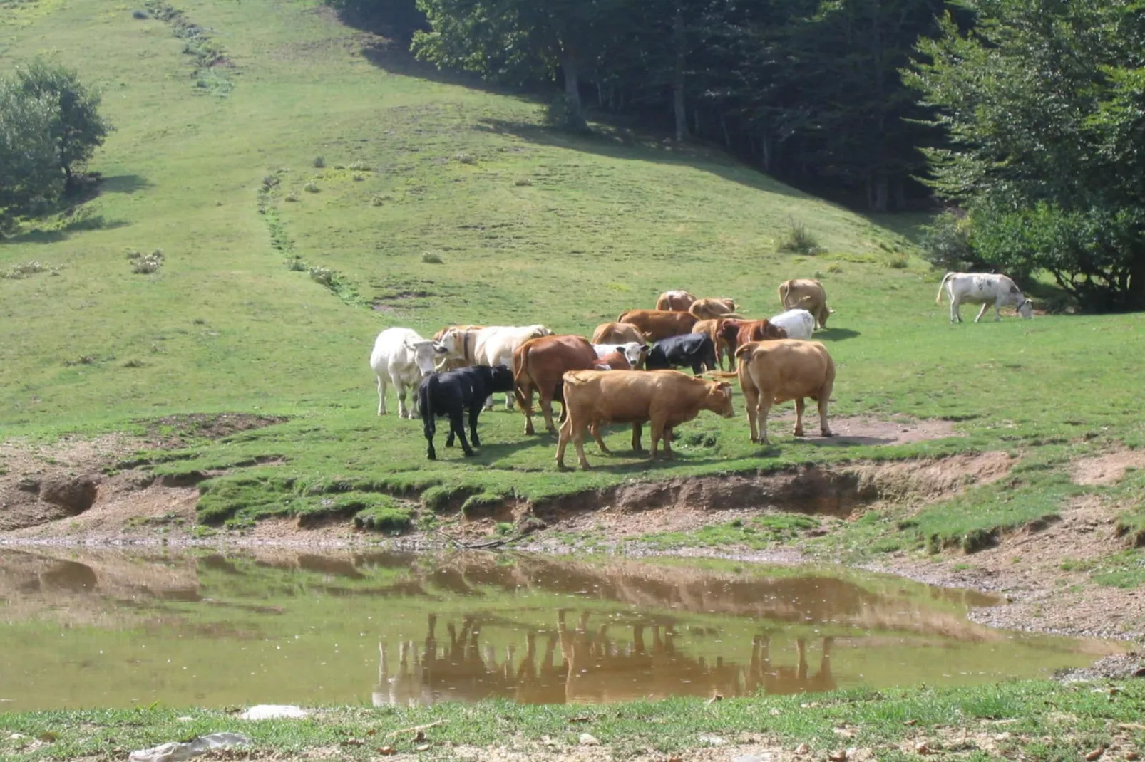 Casa Bel-Gebiete Sommer 20 km