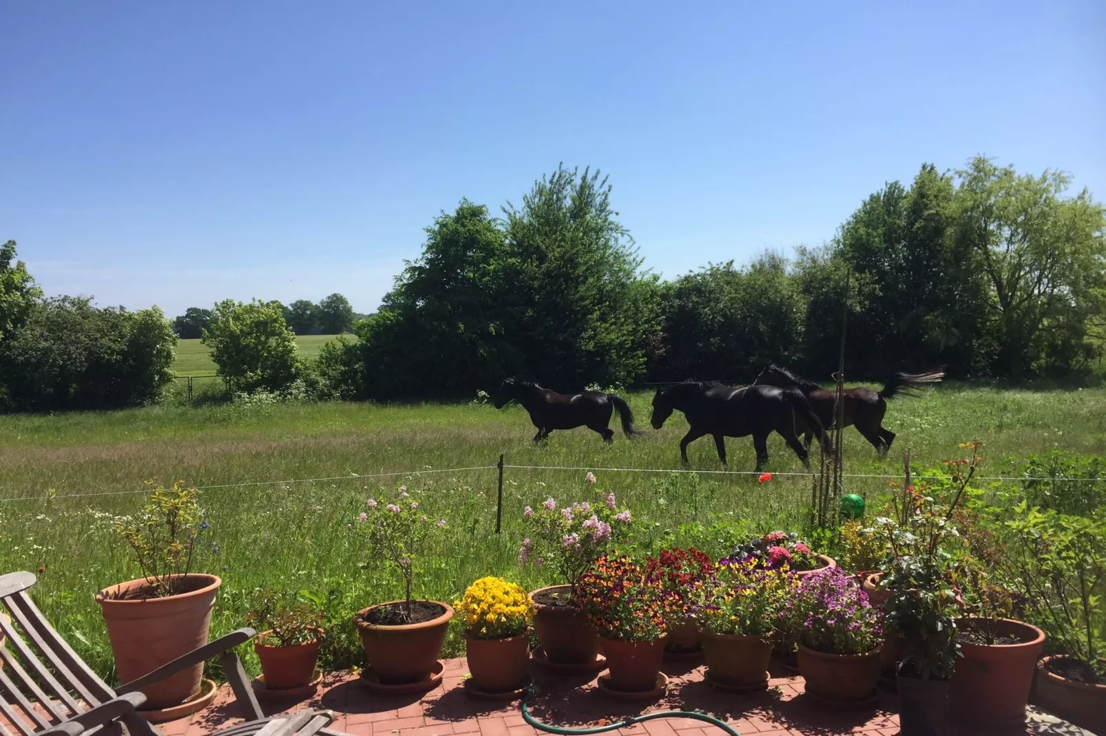 Romantisches Landhaus mit Kamin-Gardens summer