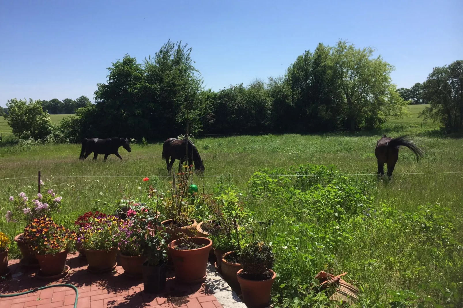 Romantisches Landhaus mit Kamin-Gardens summer
