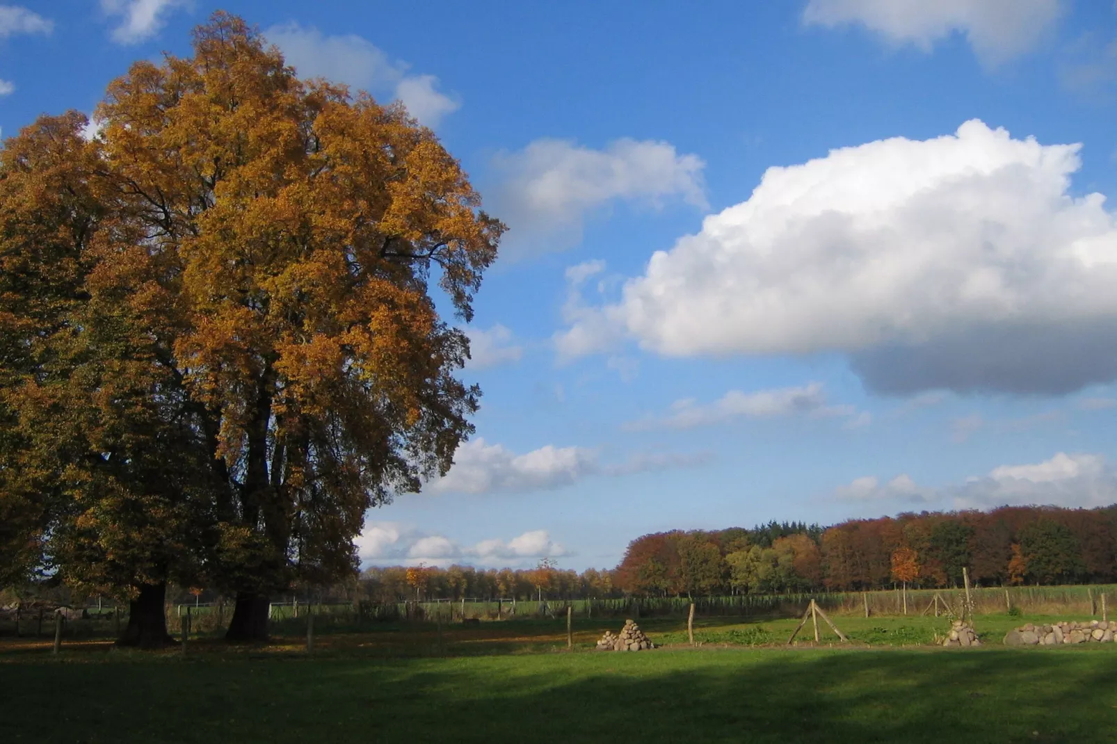 Romantisches Landhaus mit Kamin-Areas summer 5km