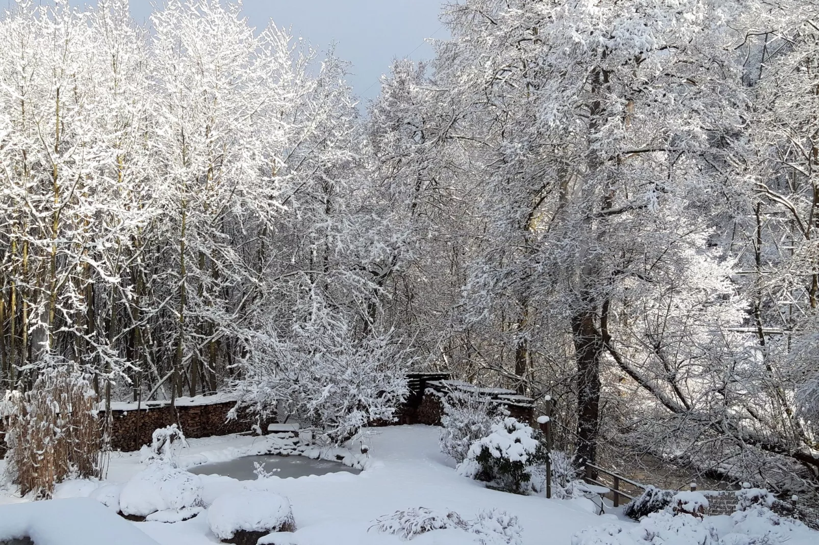 Les Digues-Garden winter