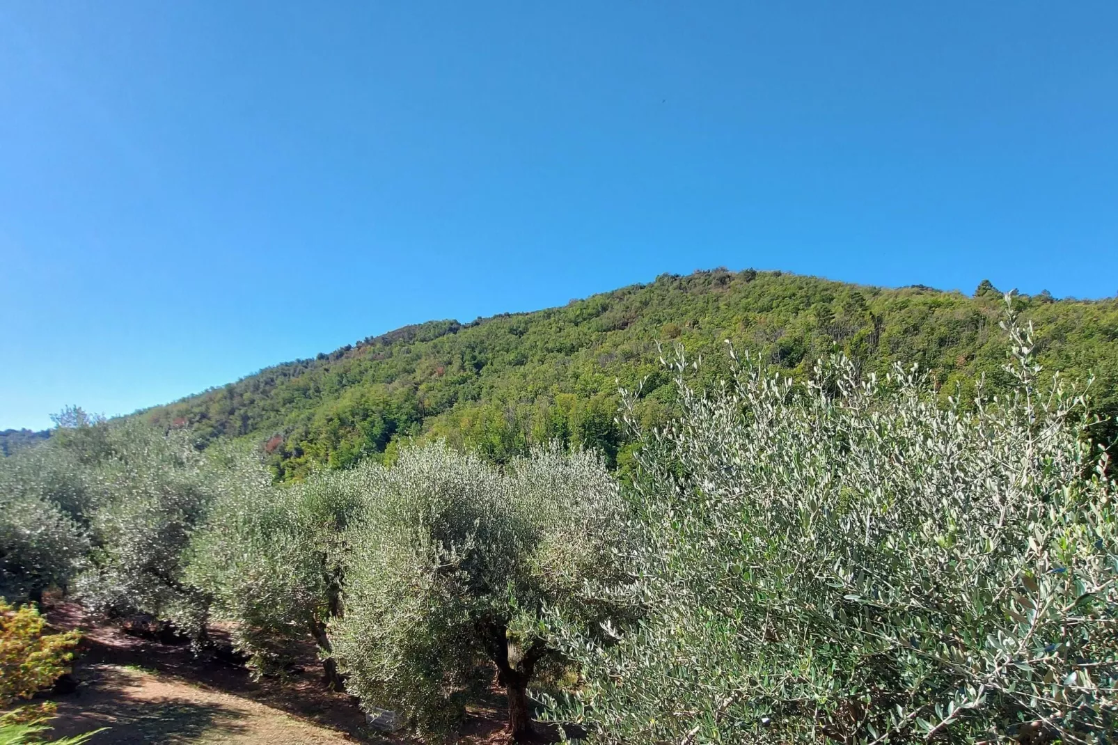 Casa Foce-View summer