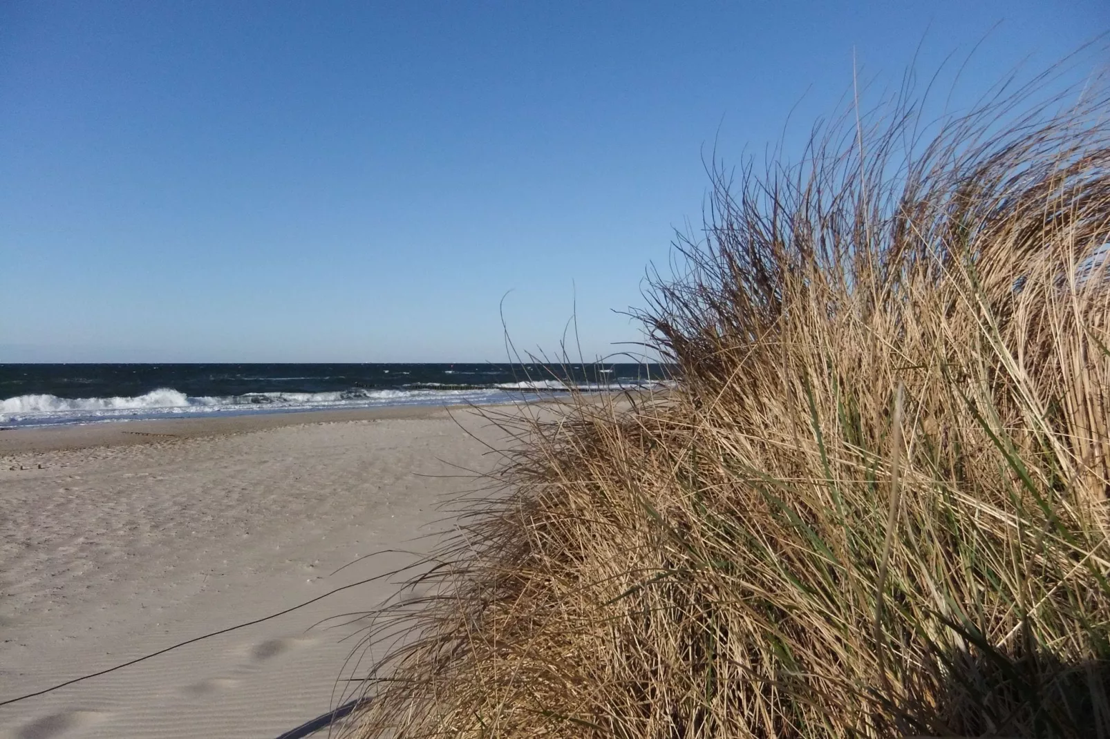 Ferienwohnung Eva mit Meerblick - strandnah-Areas summer 5km