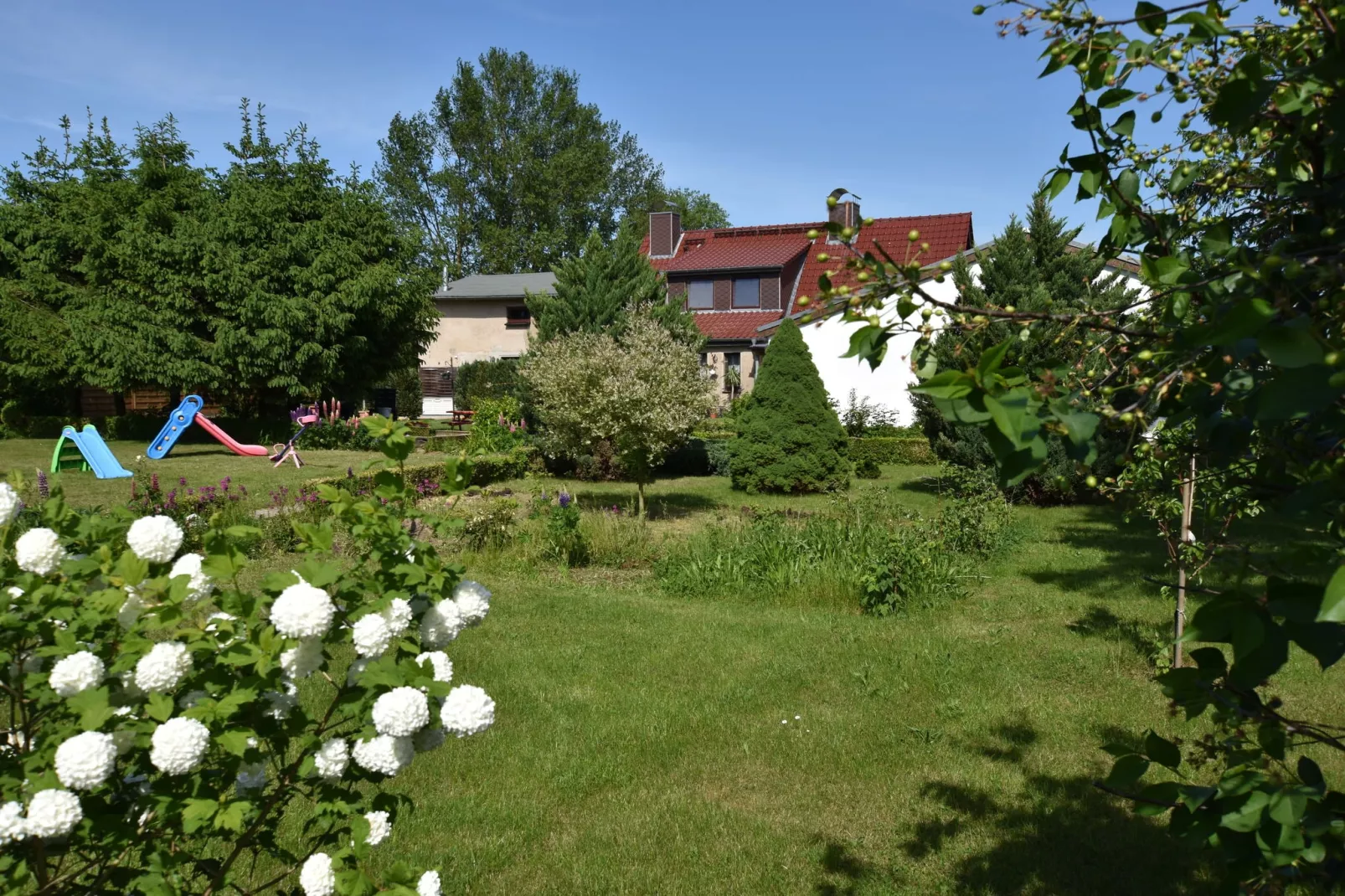 Kinderparadies nahe Insel Poel-Gardens summer