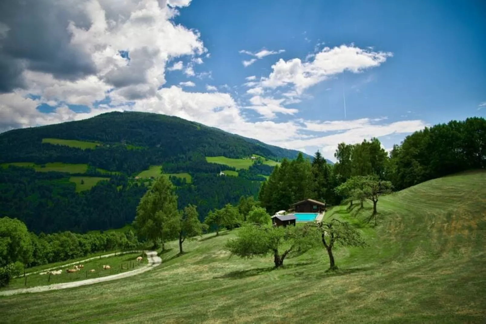Grafhube Appartements - 3-Raum-View summer