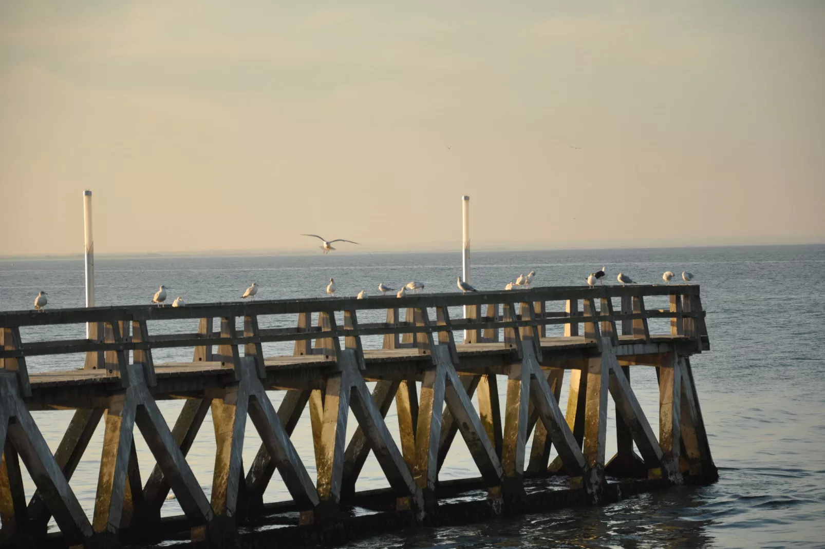 Gite Le Jonquet-Areas summer 5km