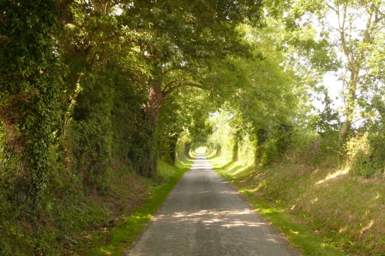 Gite Le Jonquet-Areas summer 20km