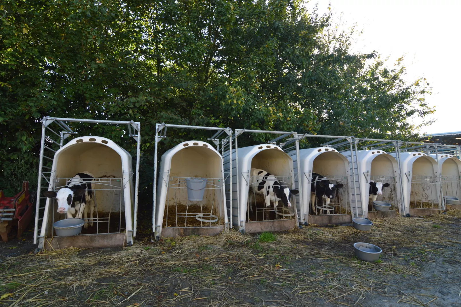 Ferme du Hoguet-Zones d'été à 1 km