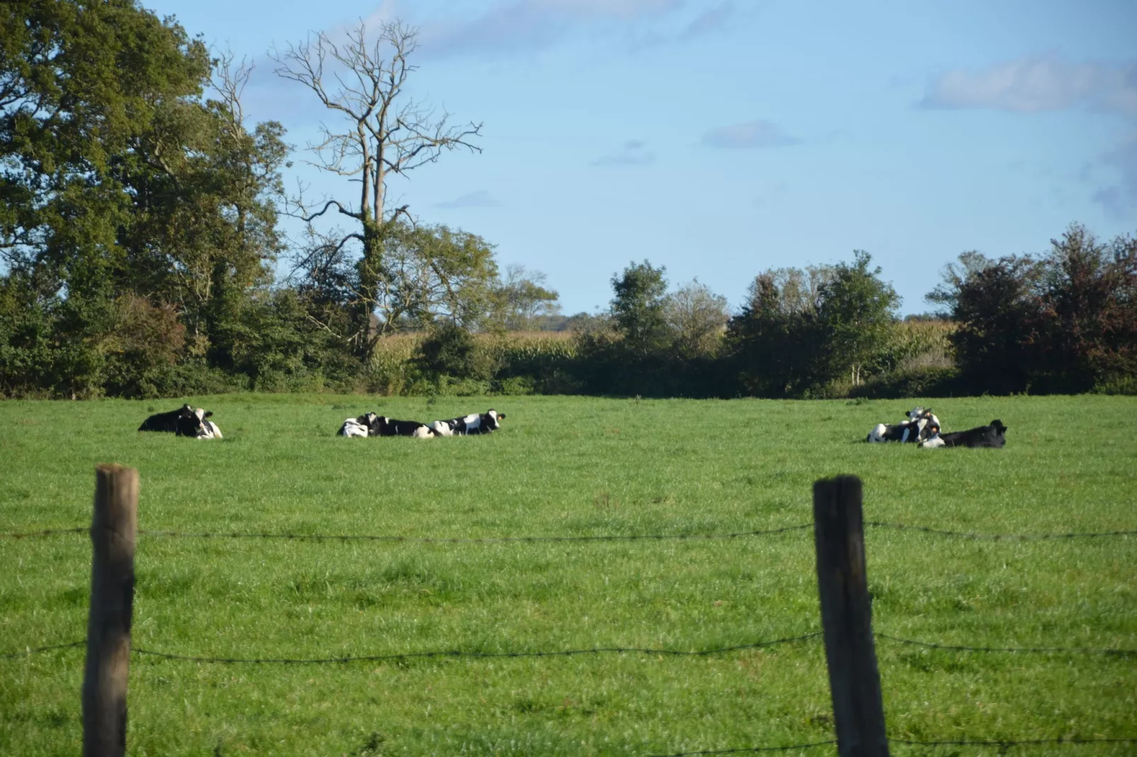 Ferme du hoguet-View in summer