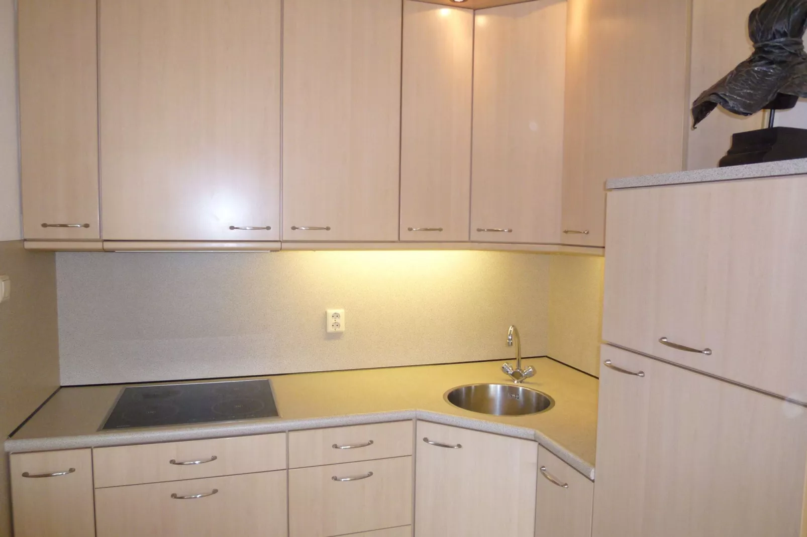 Wilgenlaan 15-Kitchen