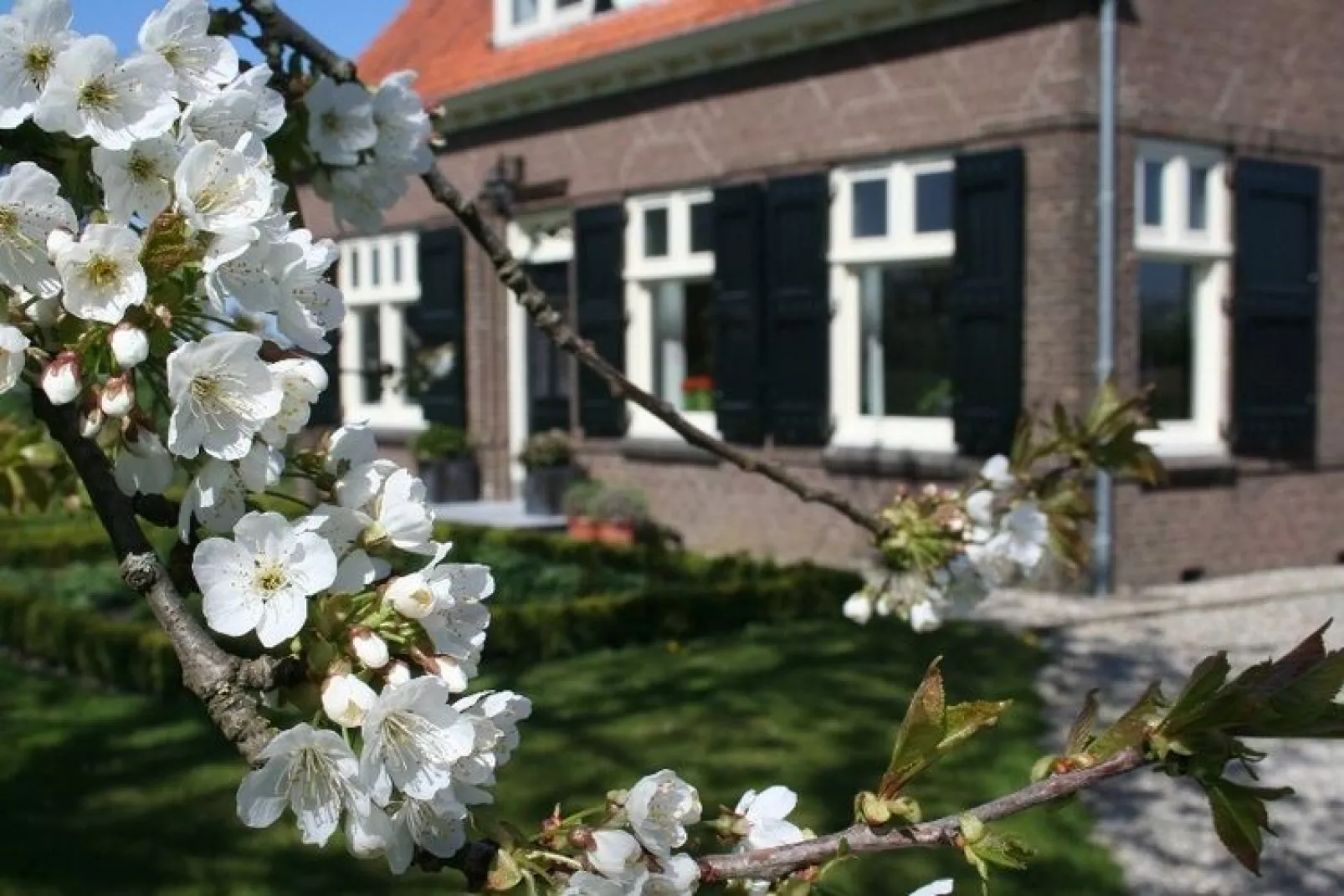 Hof van IJzendijke-Gardens summer