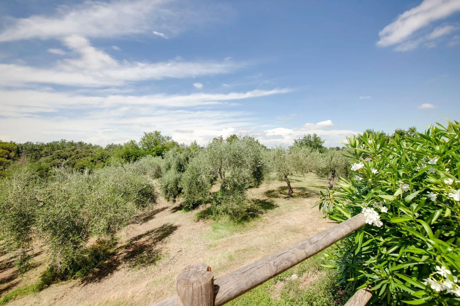 Nantia-View summer