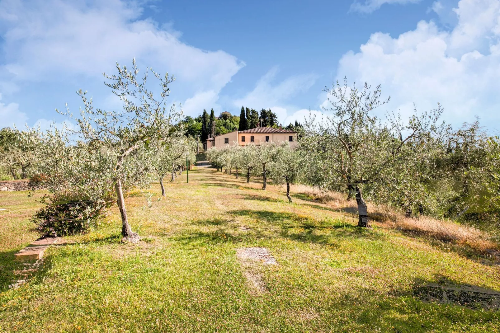 Nantia-Areas summer 1km