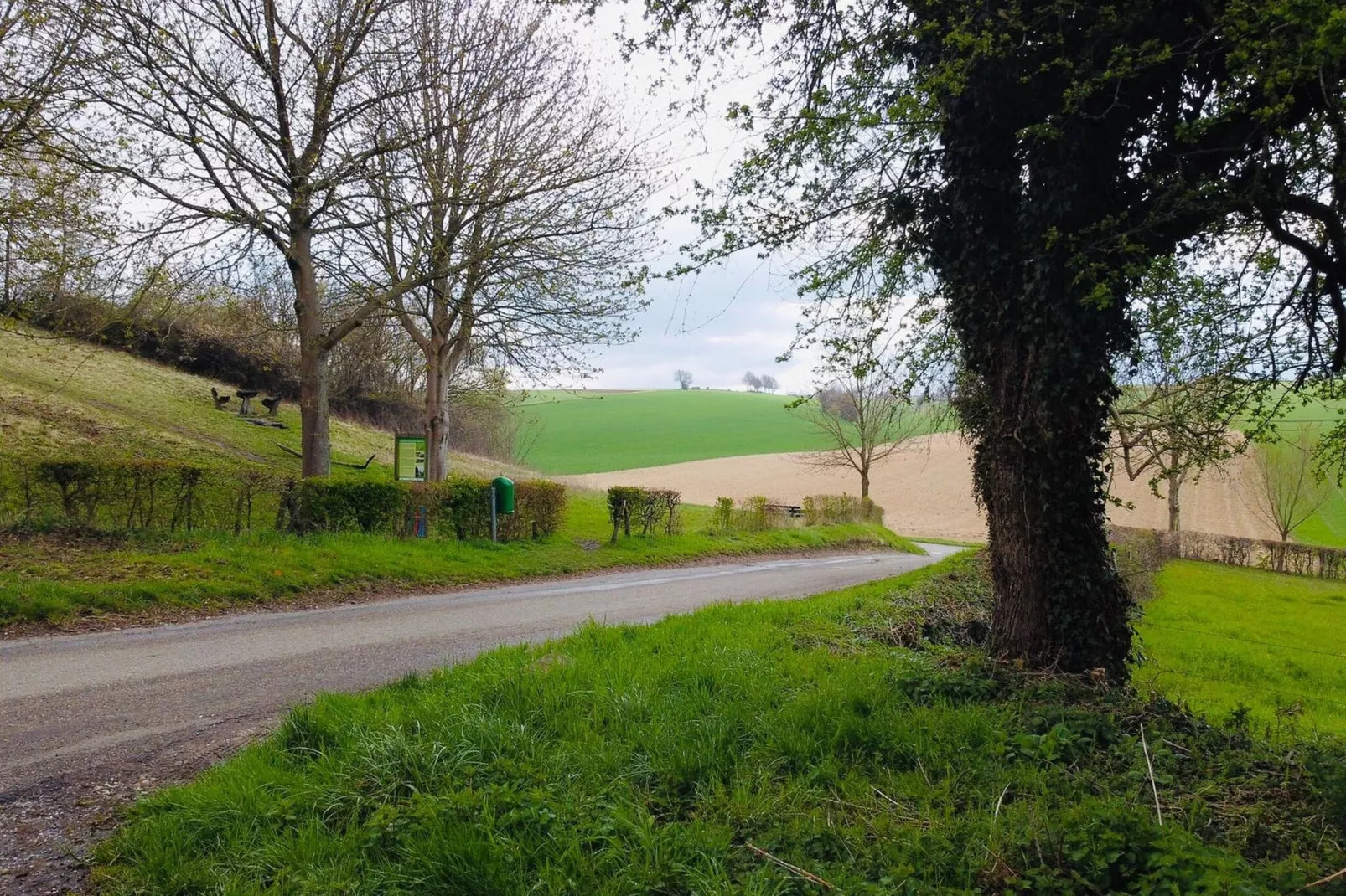 Valleyview Cottages - NR15-Areas summer 20km