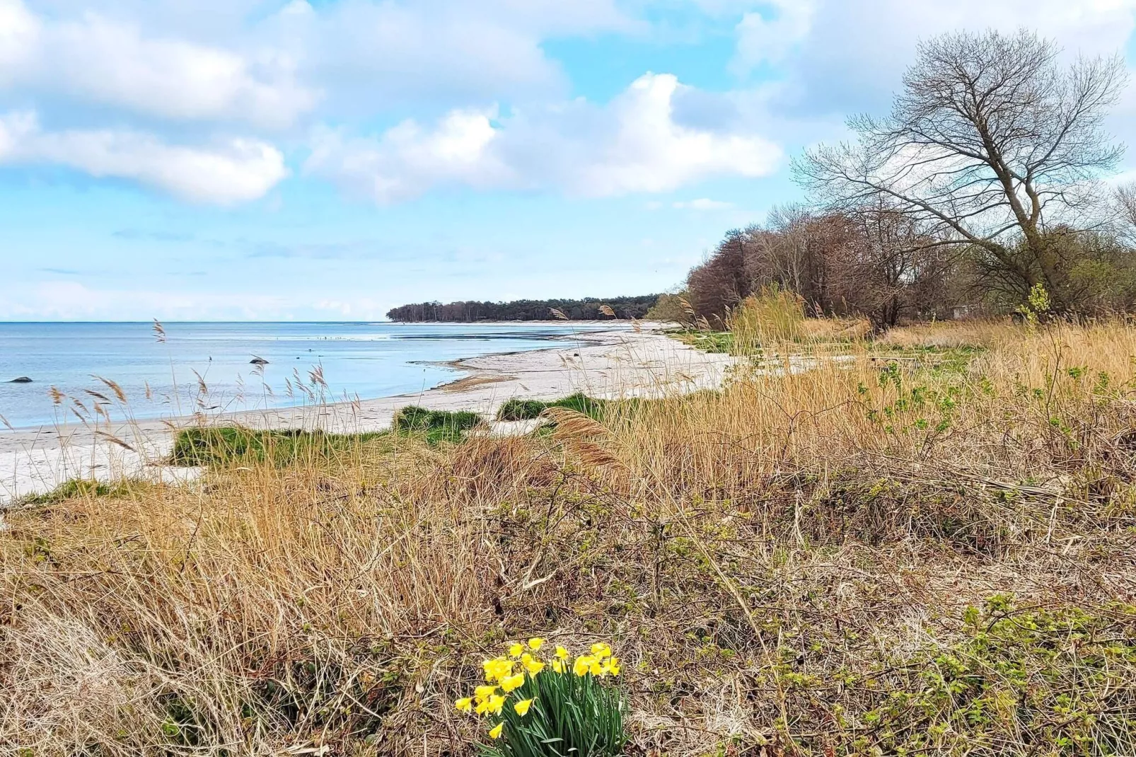 Beachfront Bliss in Snogebaek - By Traum Ferienwohnungen-Outdoor