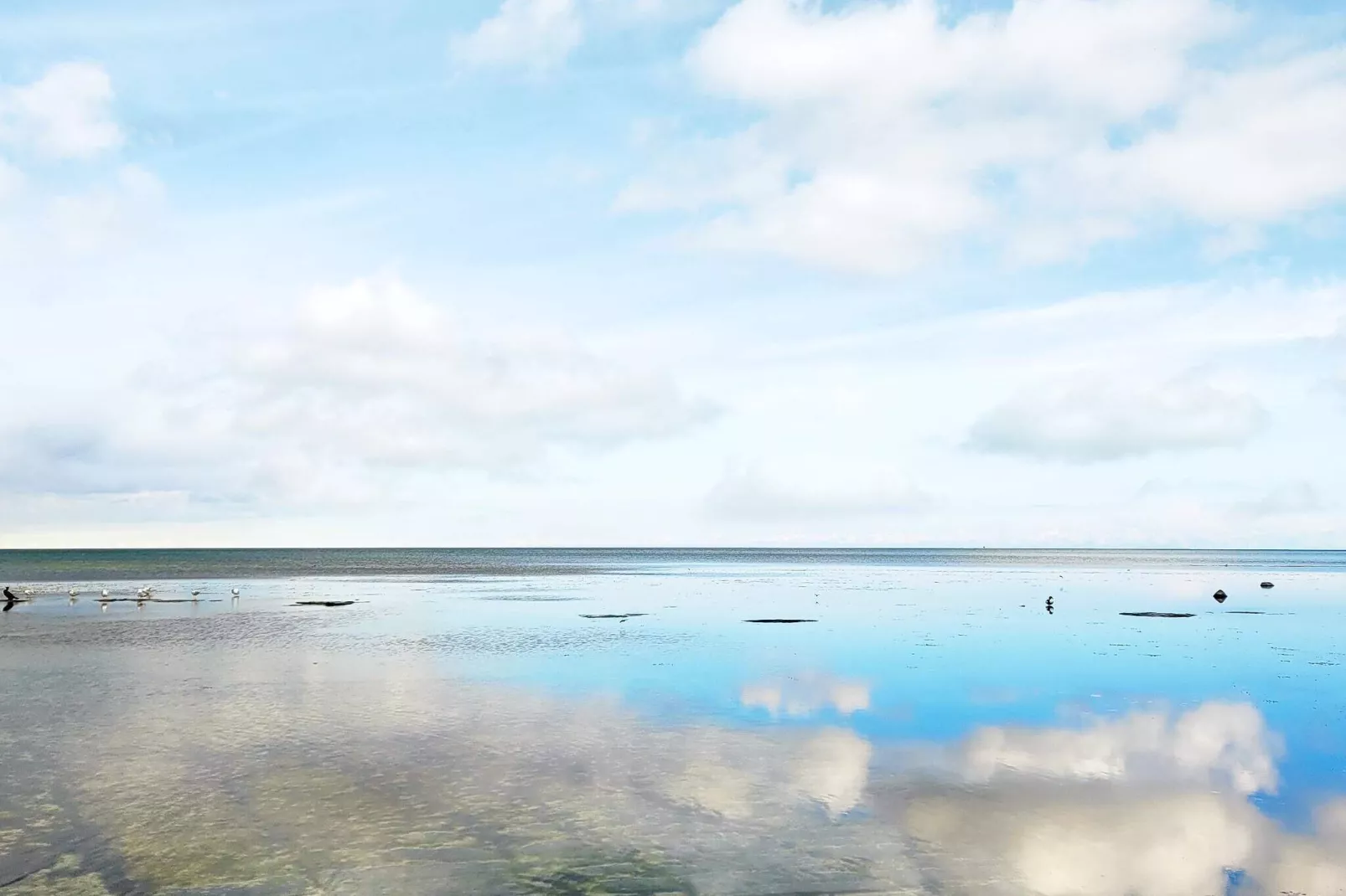 Beachfront Bliss in Snogebaek - By Traum Ferienwohnungen-Outdoor