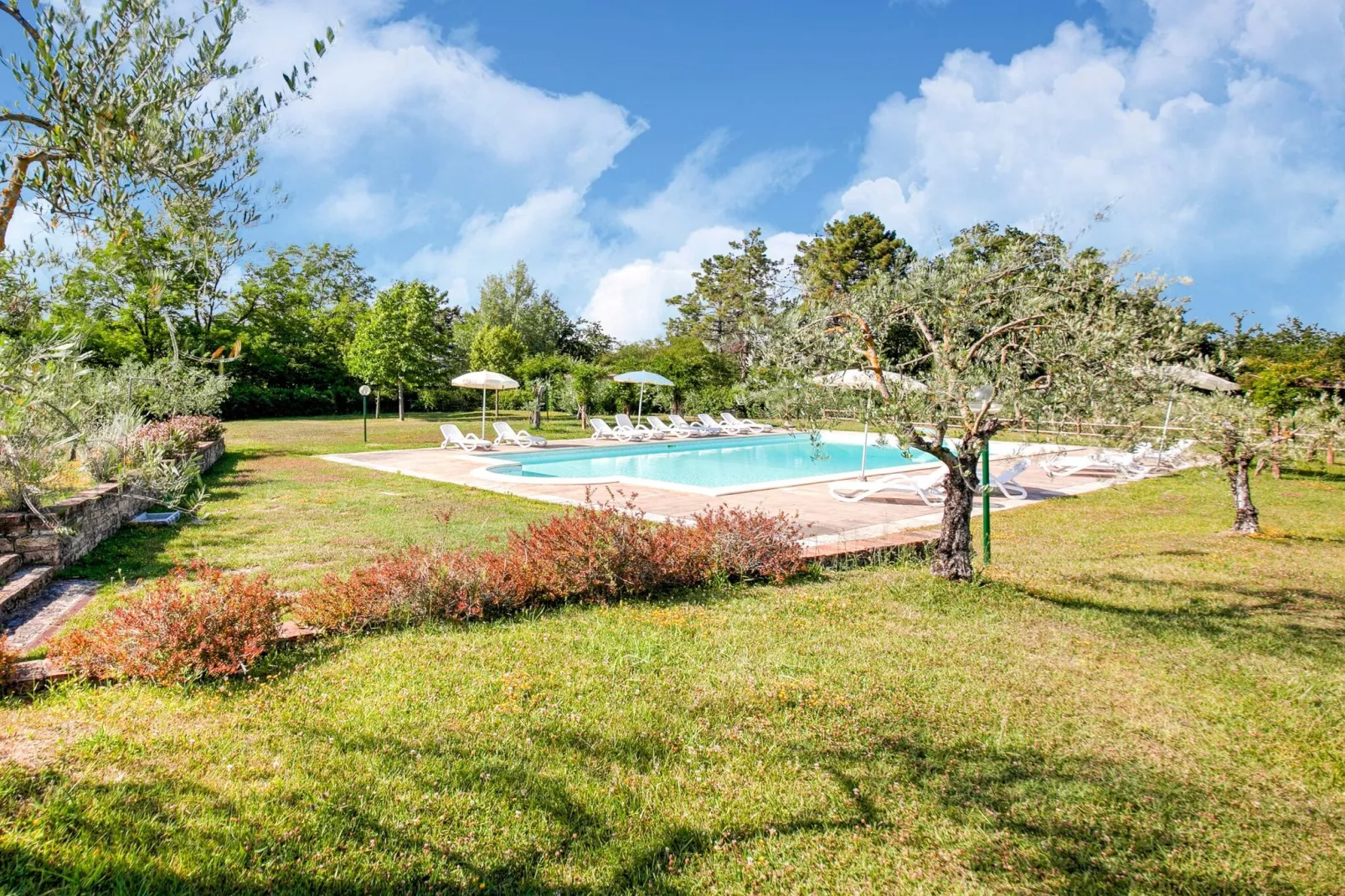 I Sodi-Gardens summer