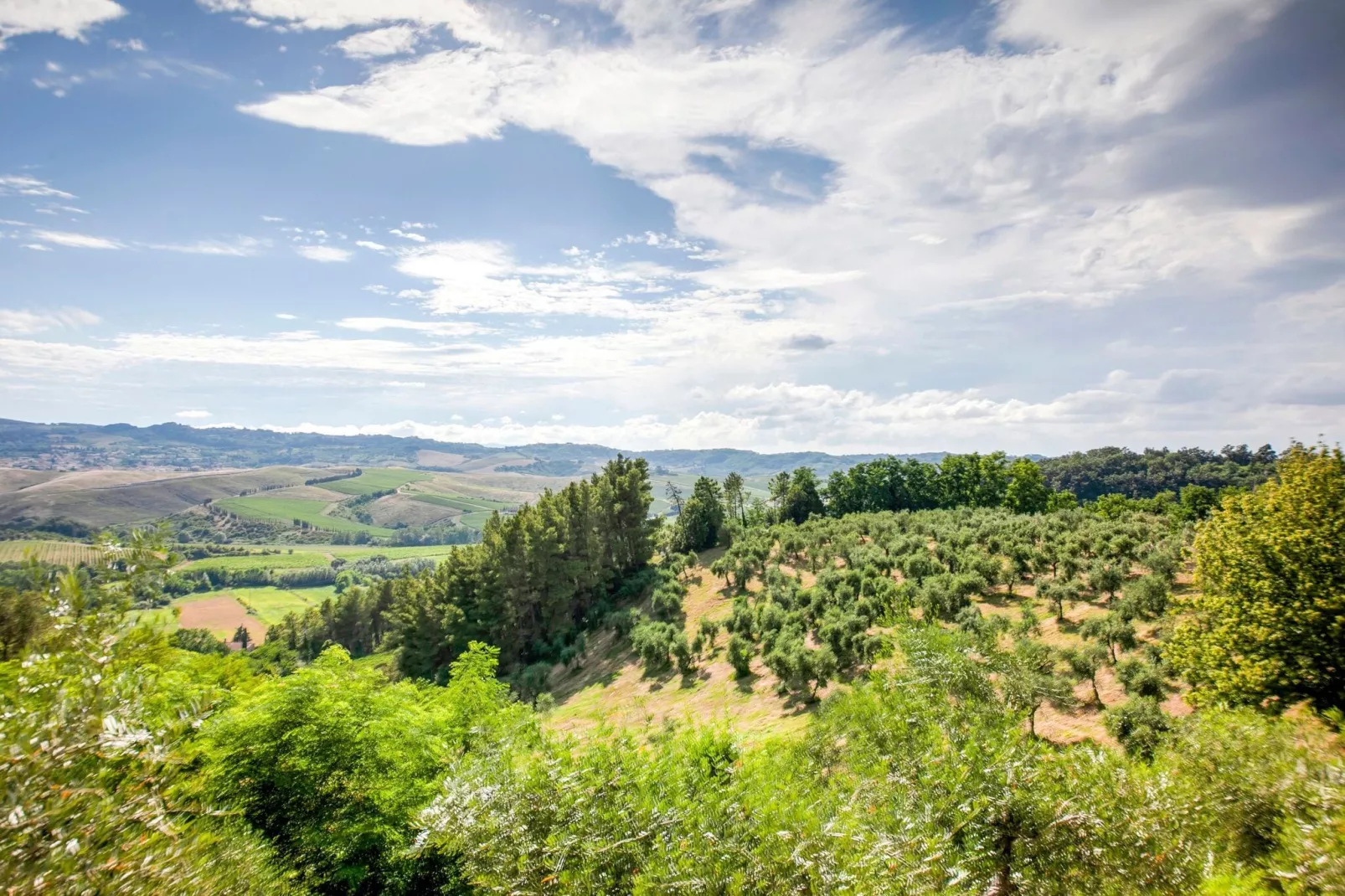 I Sodi-View summer
