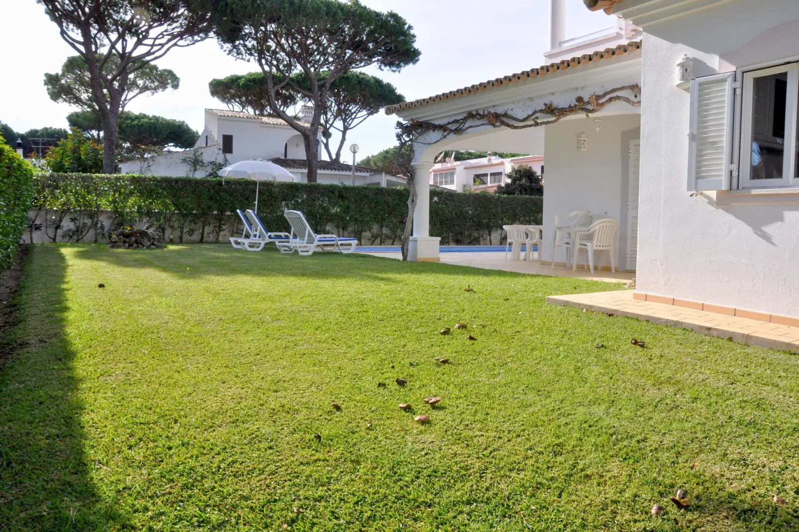 Villa Mathilda-Gardens summer
