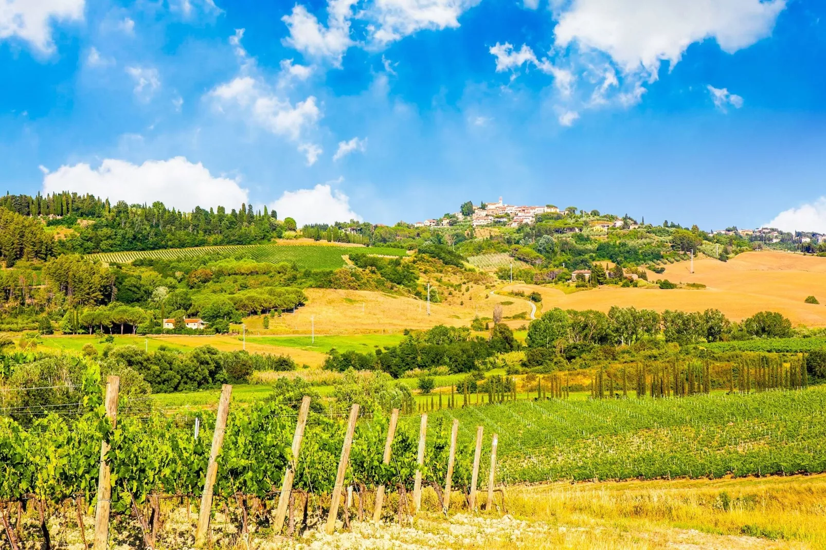 Felciaio-Areas summer 5km