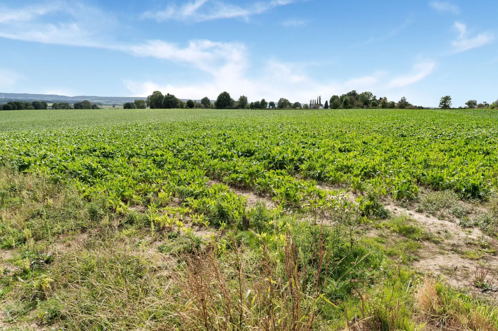 Valleyview Cottages - NR01-Areas summer 5km