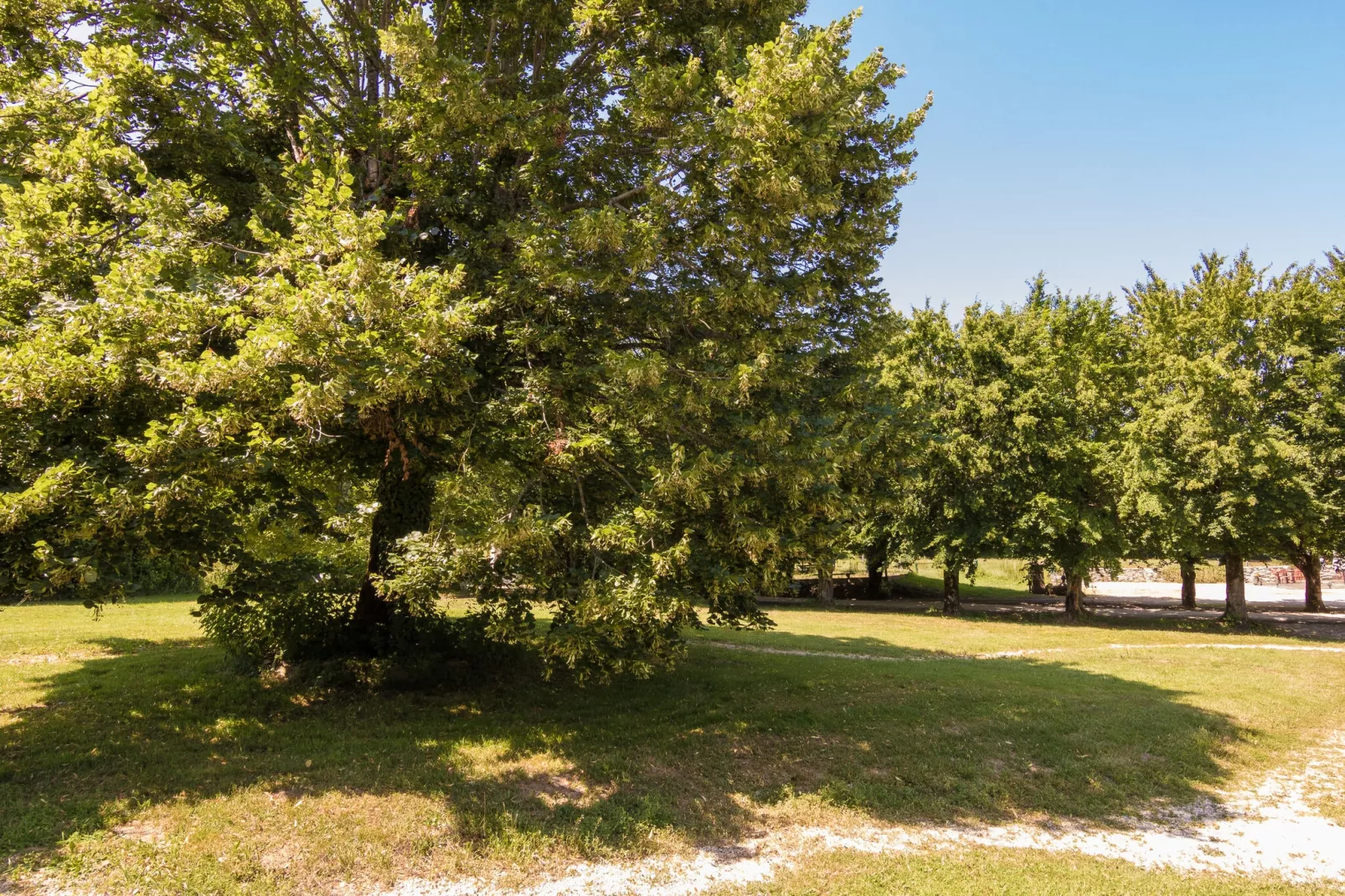 La Grande Maison-Gardens summer