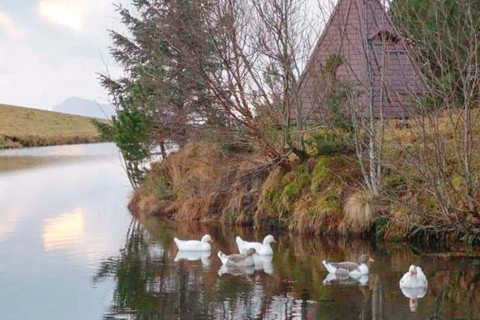 Maison de vacances pour 6 a Tansøy-By Traum-Non étiqueté