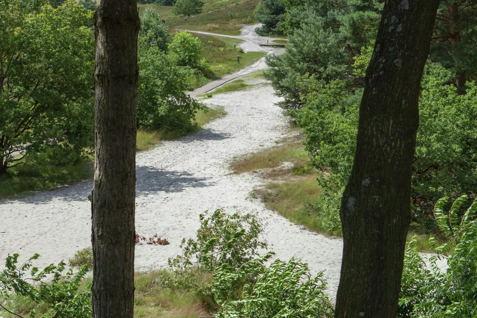 Resort Brunssummerheide 19-Areas summer 5km