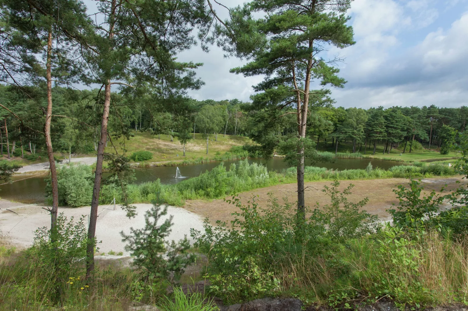 Resort Brunssummerheide 19-Areas summer 5km