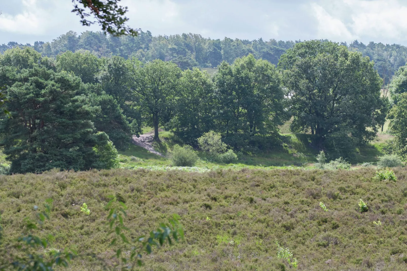 Resort Brunssummerheide 19-Areas summer 5km