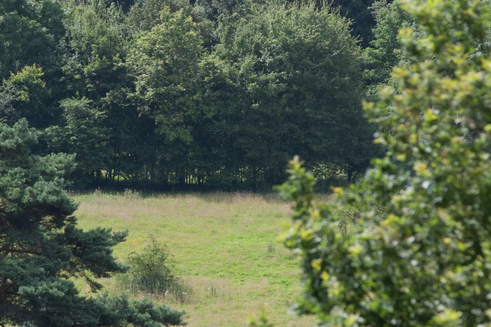Resort Brunssummerheide 19-Areas summer 5km