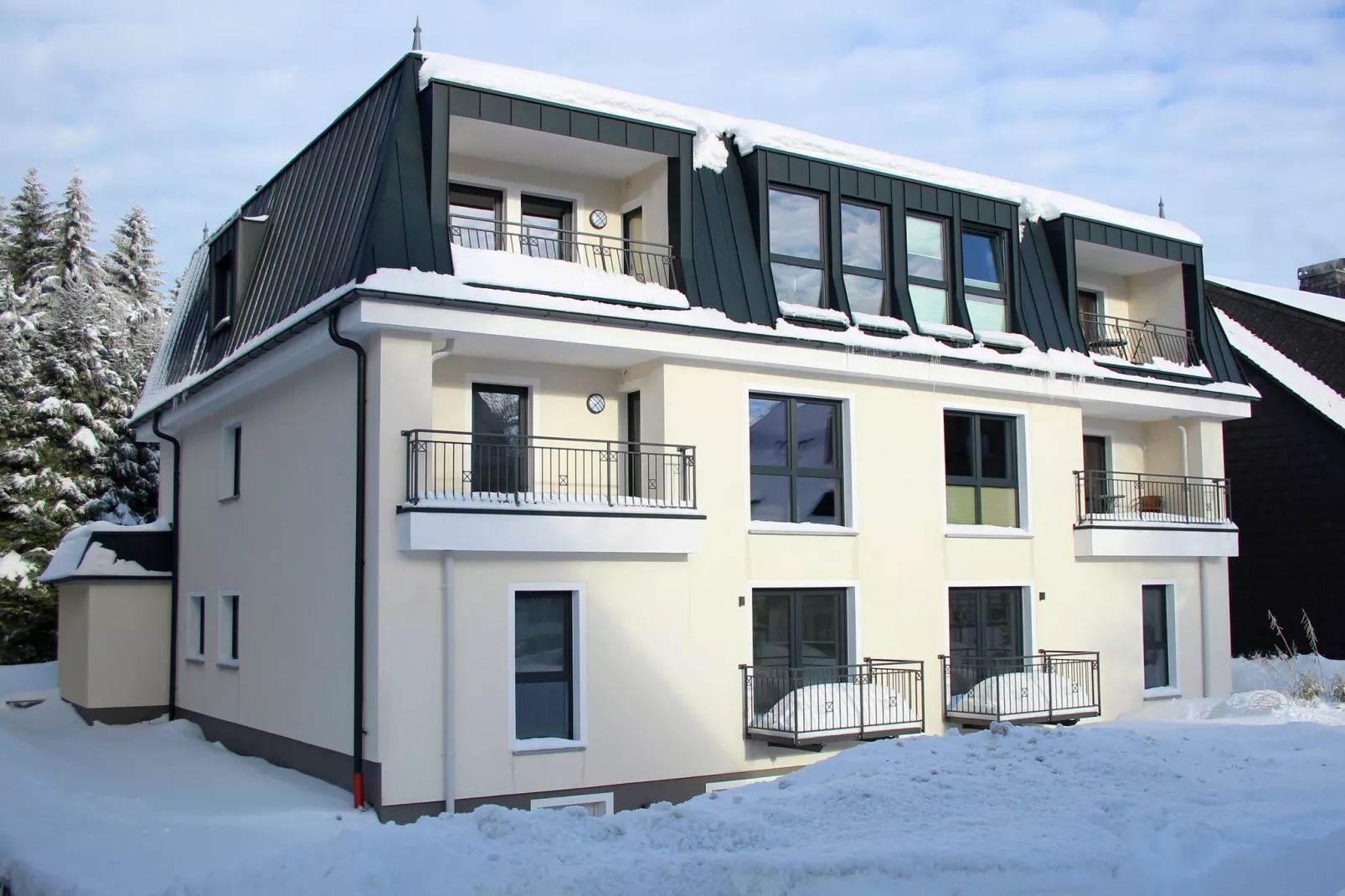 Villa Winterberg-Außenbereich Winter