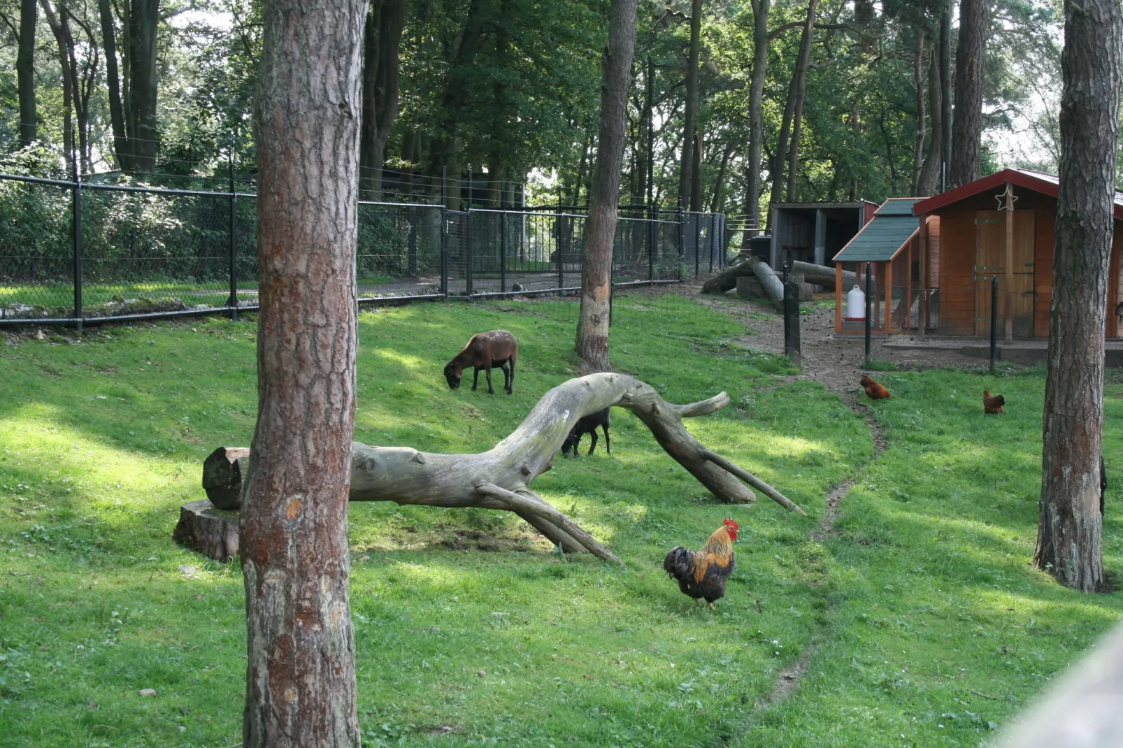 Resort Brunssummerheide 29-Park facilities
