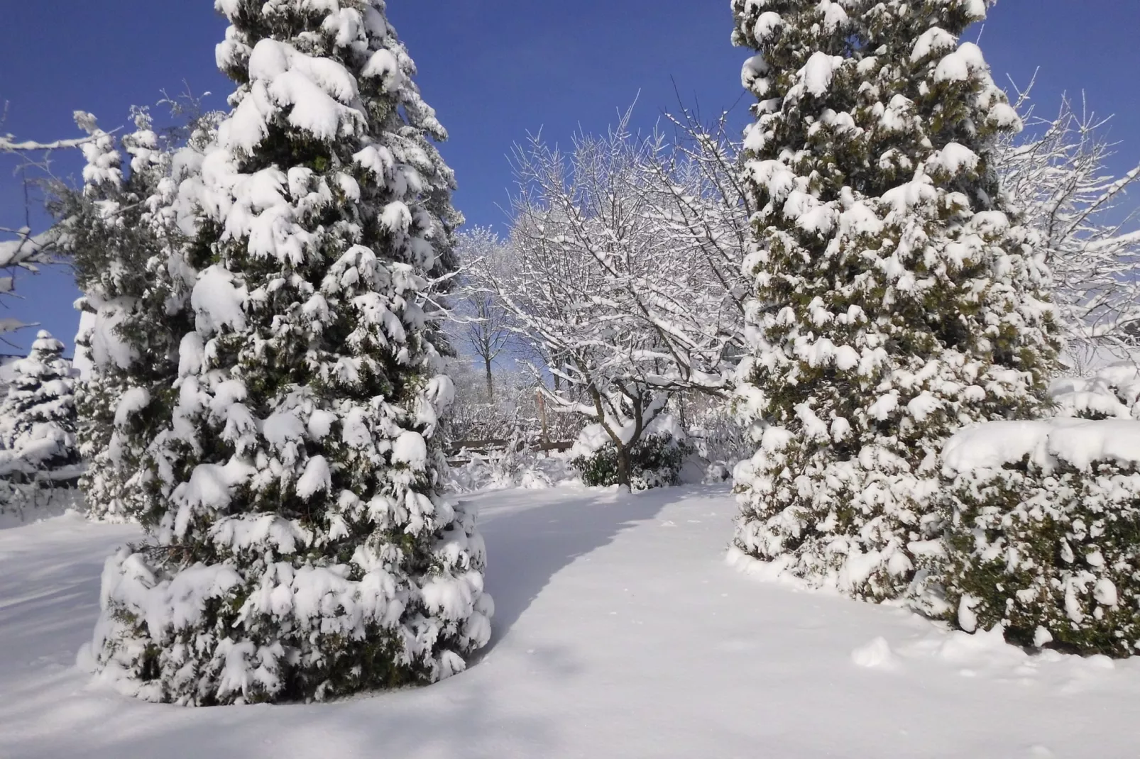 Hanjürgens-Area winter 1km