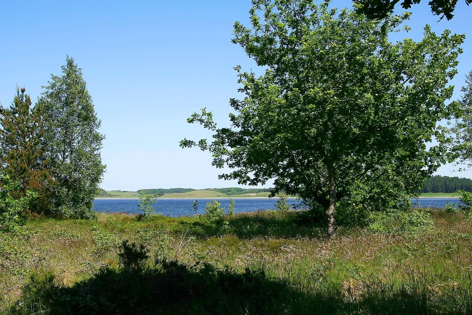 8 person holiday home in Højslev-By Traum-View