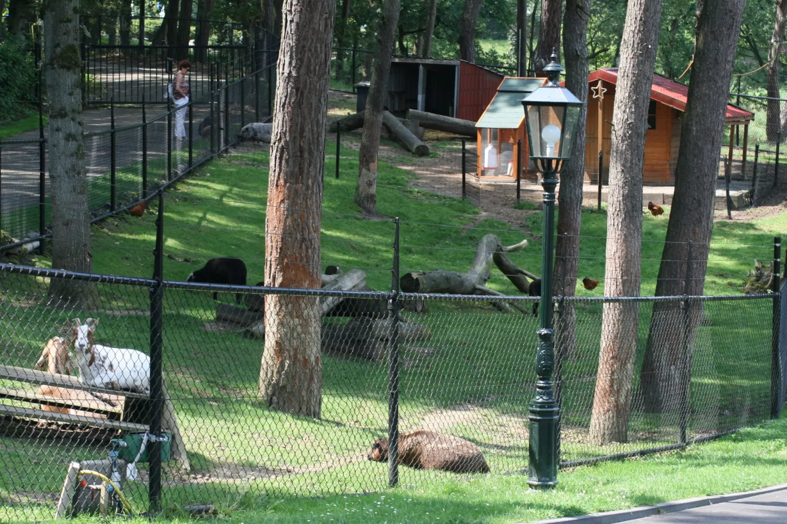 Resort Brunssummerheide 27-Park facilities