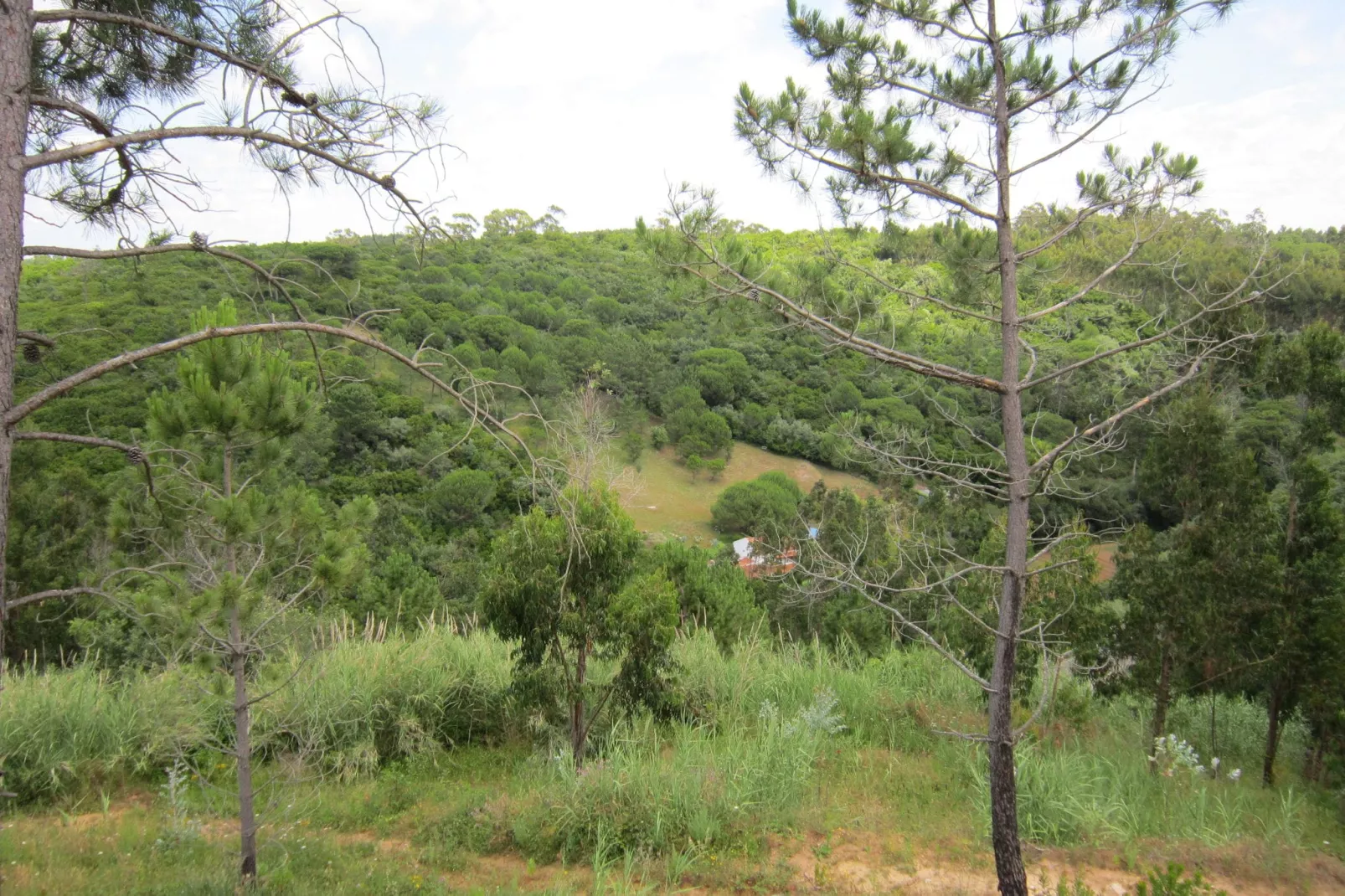 Casa Cela-View summer