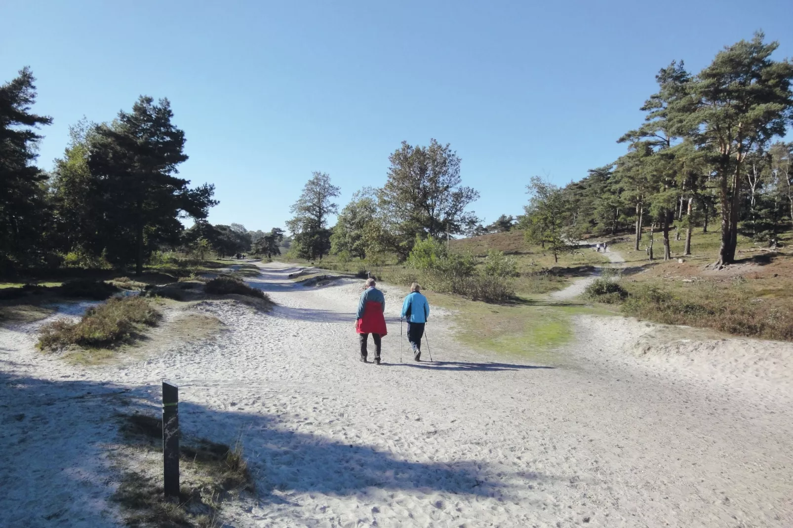 Resort Brunssummerheide 27-Areas summer 5km