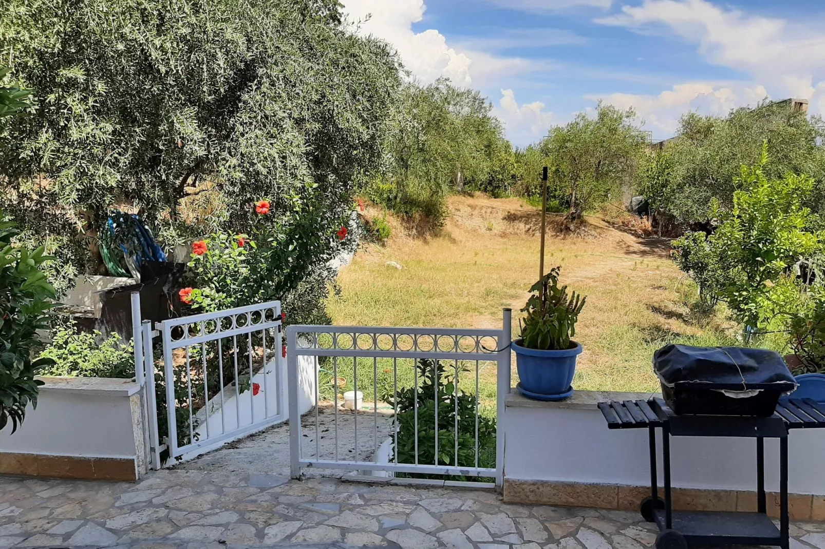 Andromaches Apartments Apartment C-Gardens summer
