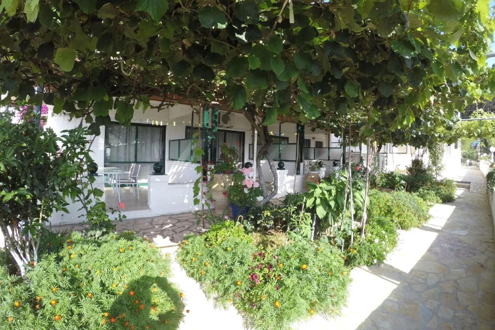 Benitses Apartment Corfu-Gardens summer