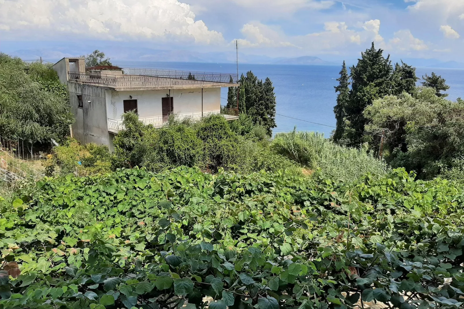 Andromaches Apartments Apartment A-View summer