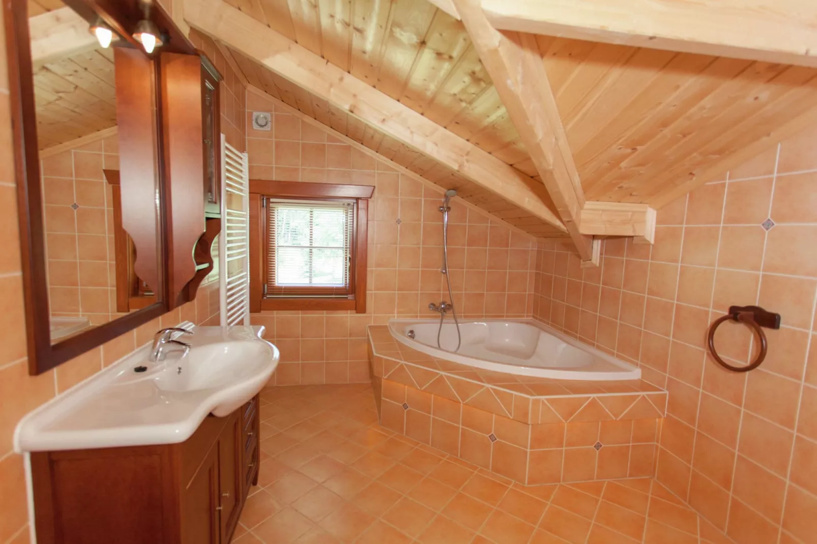 Resort Brunssummerheide 24-Bathroom
