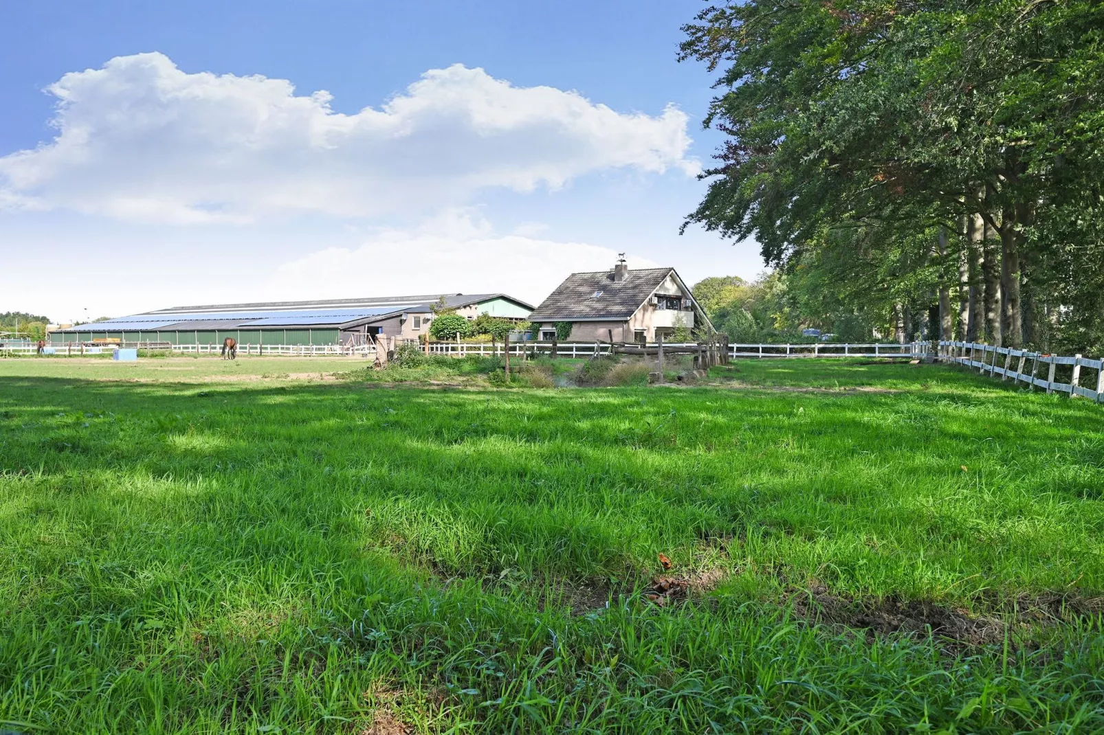 De Liemers-Areas summer 1km